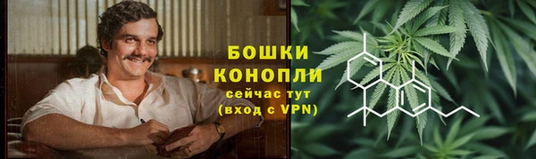 ГАЛЛЮЦИНОГЕННЫЕ ГРИБЫ Зеленокумск