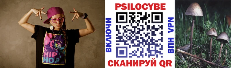 купить   Мышкин  Галлюциногенные грибы мицелий 